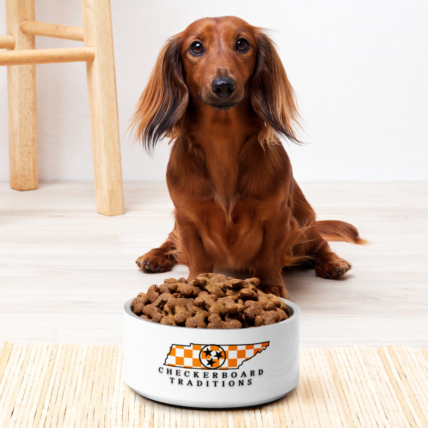 Checkerboard Traditions- Pet Bowl